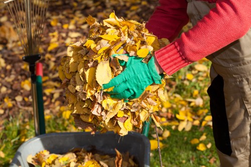 Pruning and trimming services in a Millbank garden